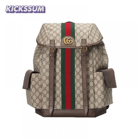 Gucci Ophidia Gg Backpack - GBP107
