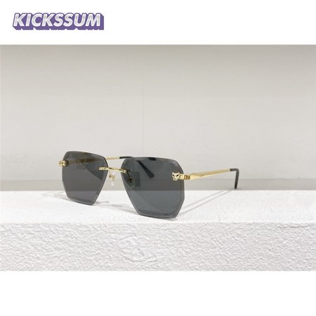 cartier CT0213 Sunglasses