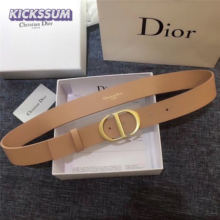 Dior Belt Pink
